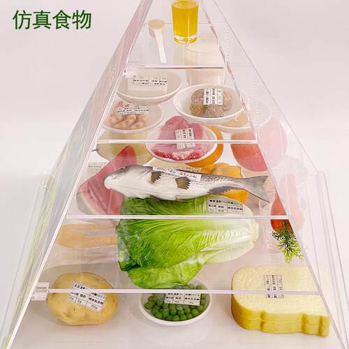 仿真食品中国居民均衡s营养膳食宝塔模型2022版营养食物模型