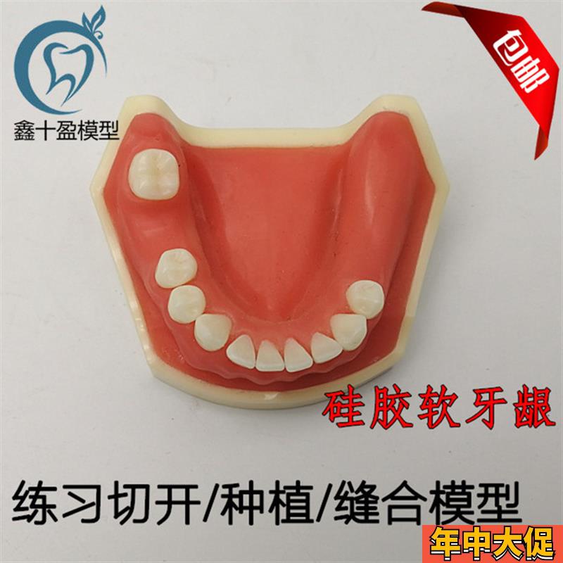 牙科口腔种植练习模型学生v练习切开缝合种植模型下颌种植2029