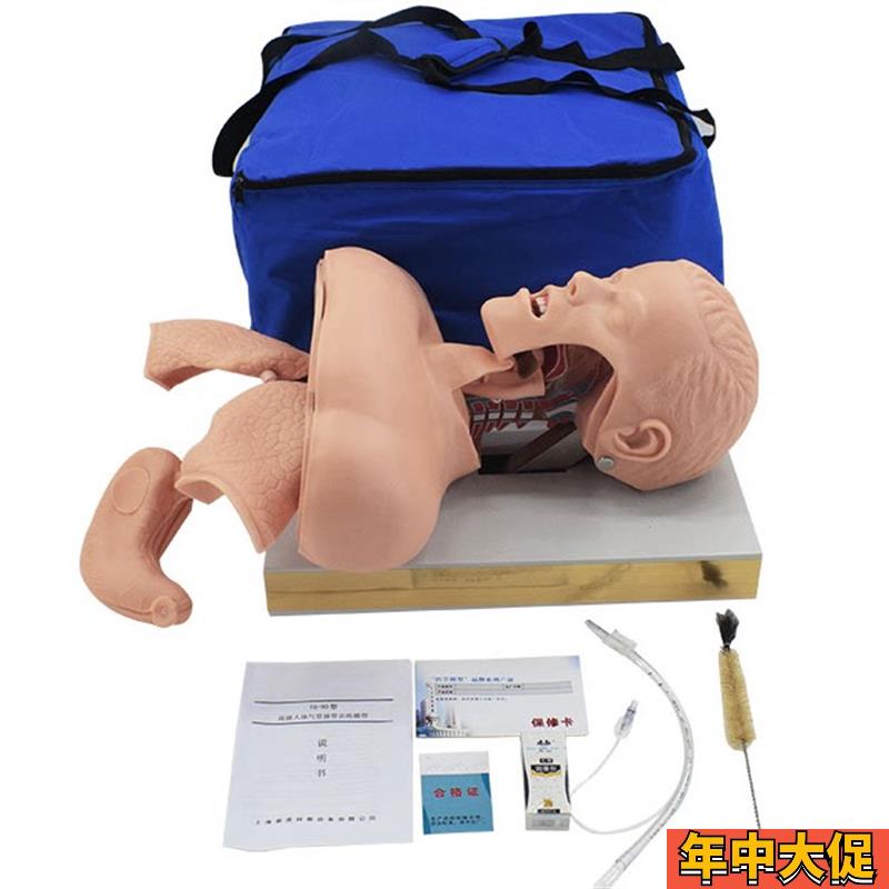成人气管插管模型 人体气道插管模具带解剖结Z构教学模型