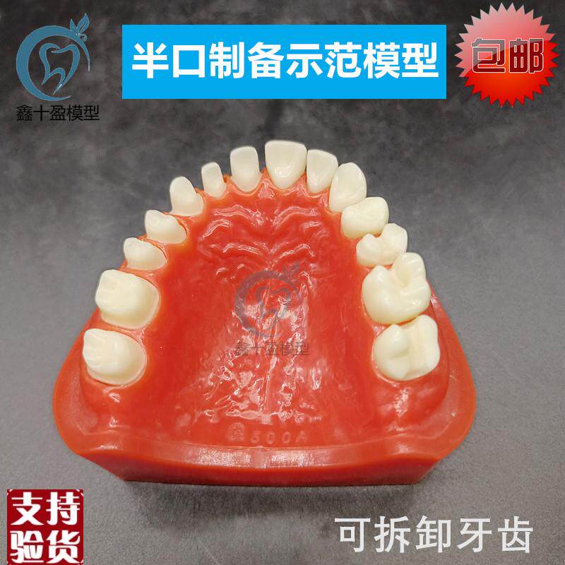 牙科半口烤瓷制备k示范模型上颌练习预备备牙模型可替换牙齿M802