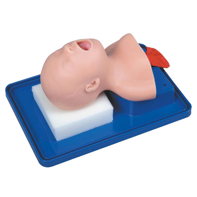 新生儿婴儿成人儿童气管插管训练D模型医学用人体气管切开插管