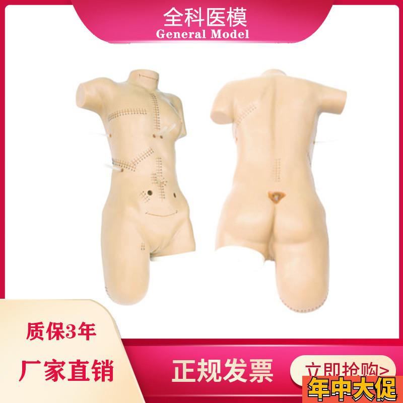 外科缝合包扎展示模型全身外科清C创切开缝合拆线换药操作训练模