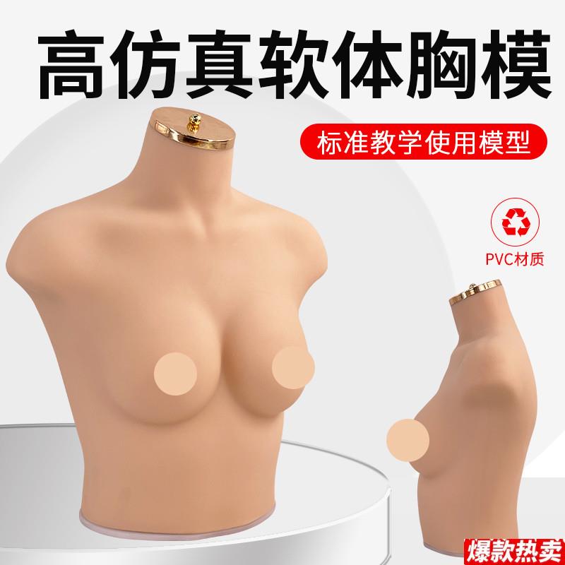 大号胸模75B杯新款仿真人软体内衣内裤展示模特道o具女半身模特