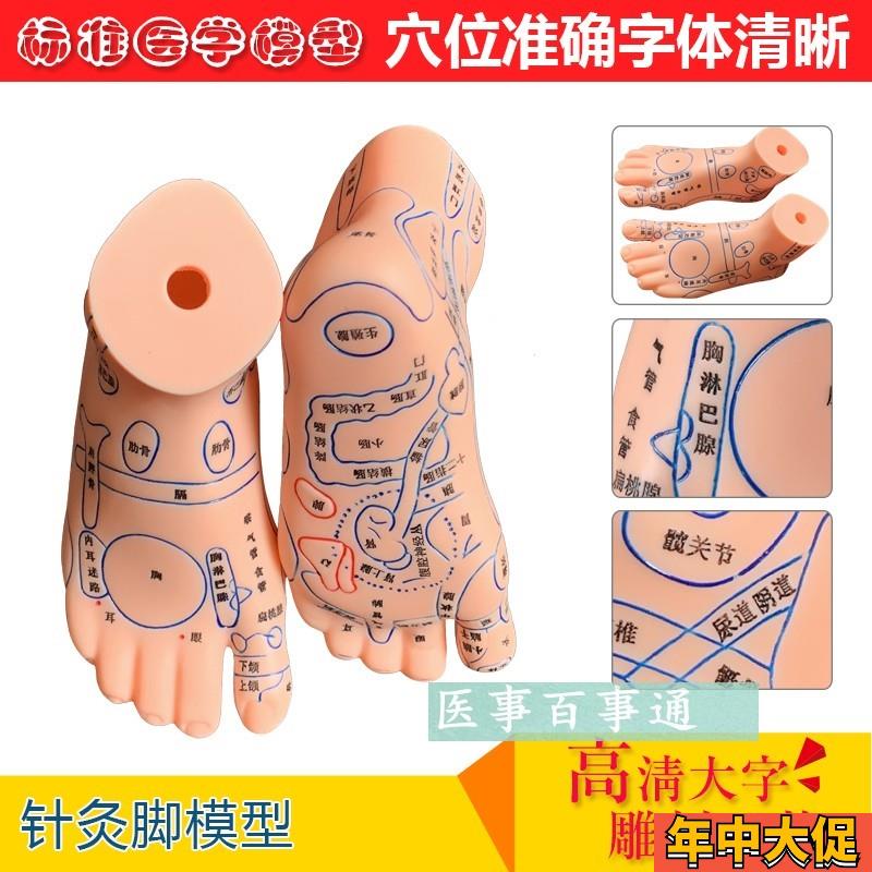 针灸脚模型足部反射图o按摩针灸穴位脚模型足底按摩模型脚部穴包