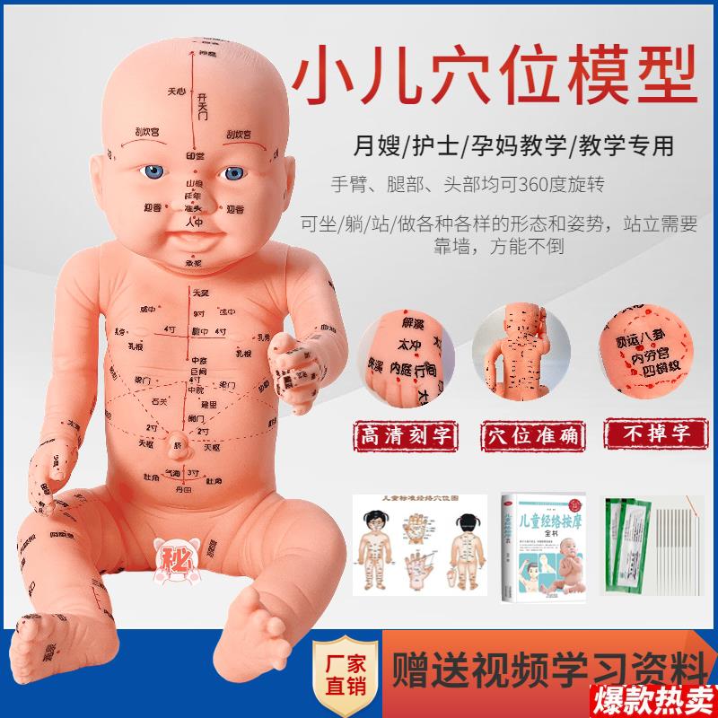 全身穴位娃E娃经络图中医小孩推拿按摩书教学保健月嫂培训宝宝模