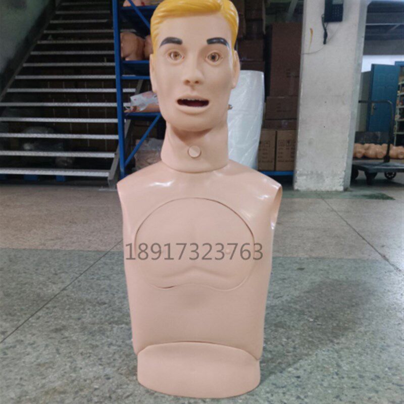 鼻胃管与气管护k理模型 成人上半身鼻饲洗胃吸痰插管训练模型