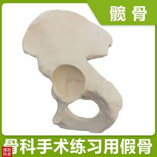 髋骨模型b仿真骨模拟手术操作练习假骨头人体腰椎盆骨临床骨科医
