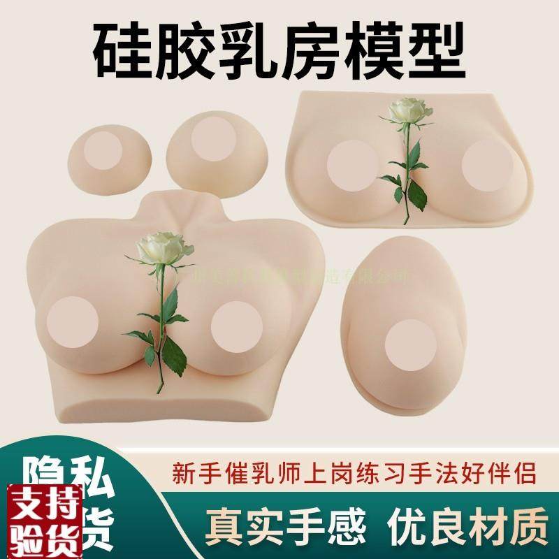 高级教学仿真女性乳房义乳假乳z催乳师培训教具哺乳教学纯硅胶模,玩具/童车/益智/积木/模型,其他模型玩具,淘宝优惠券,粉丝福利购,淘宝优惠卷