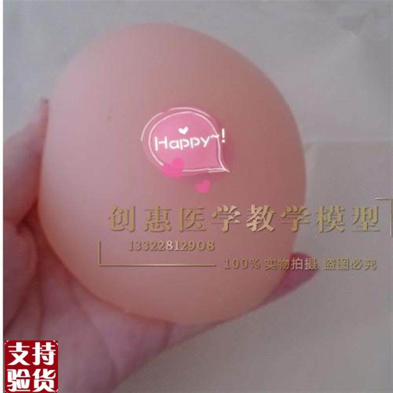 催乳师培训软硅i胶假乳房家政技校医院示范教学用乳房模型教具,玩具/童车/益智/积木/模型,其他模型玩具,淘宝优惠券,粉丝福利购,淘宝优惠卷