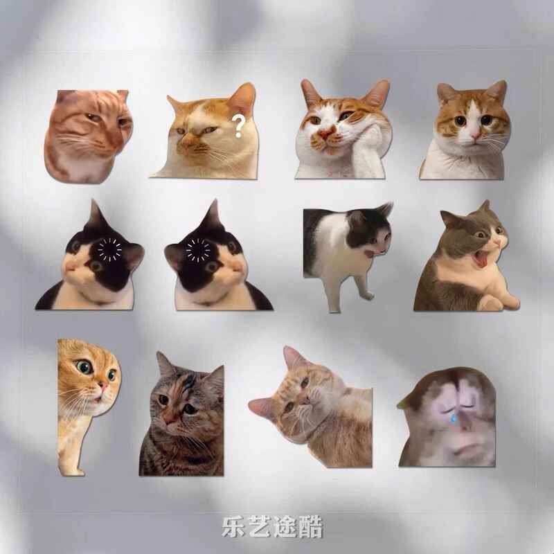 可爱搞笑迷因MEME猫猫咪惊讶表情猴子宠物车贴笔记本多用防水贴纸