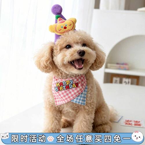 狗狗帽子生日套装可爱卡通围兜装饰宠物生日装扮拍照口水巾猫饰品