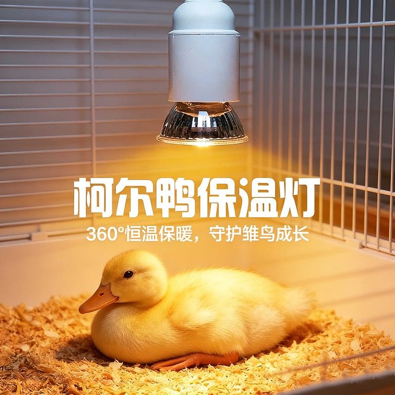 小鸡鸭子保暖灯防寒冷神器宠物柯尔鸭芦丁鸡育雏灯笼子加热保温灯