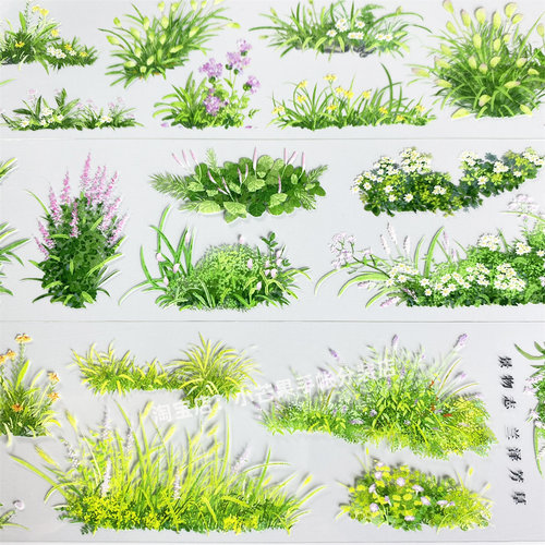 一件包邮手帐分装胶带兰泽芳草zero绿植花古风PET素材账流麻贴纸
