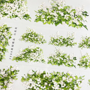 手帐分装胶带白花花zero绿叶背景装饰古风PET素材账流麻diy贴纸