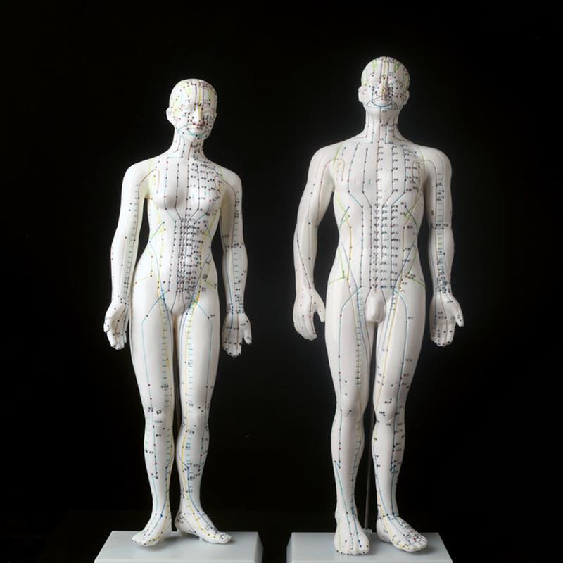超清楚针灸人模人体模型人体z穴位模型男50cm女48CM