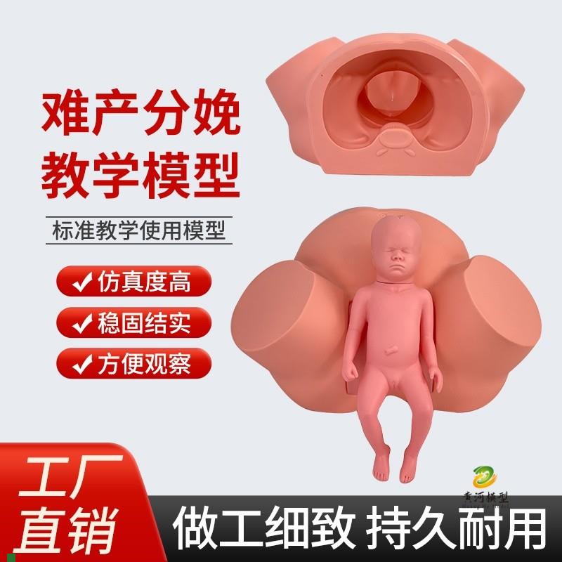 高级难产示教训练k模型分娩示教模型妇产科难产助产分娩教学模型