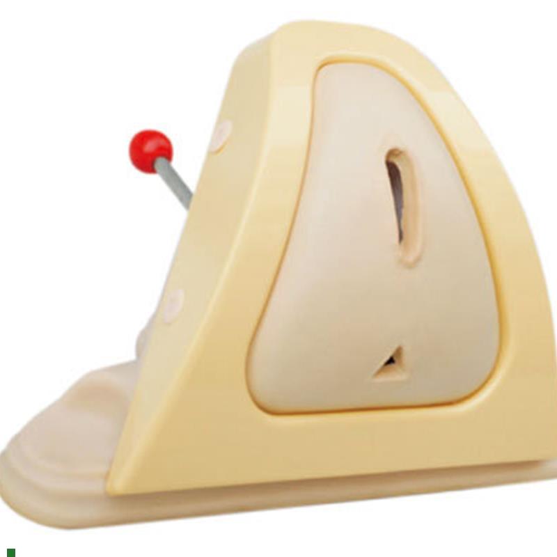 会阴切开缝合技能训练模型肌肉女性护理生殖器官模T具人体教具妇