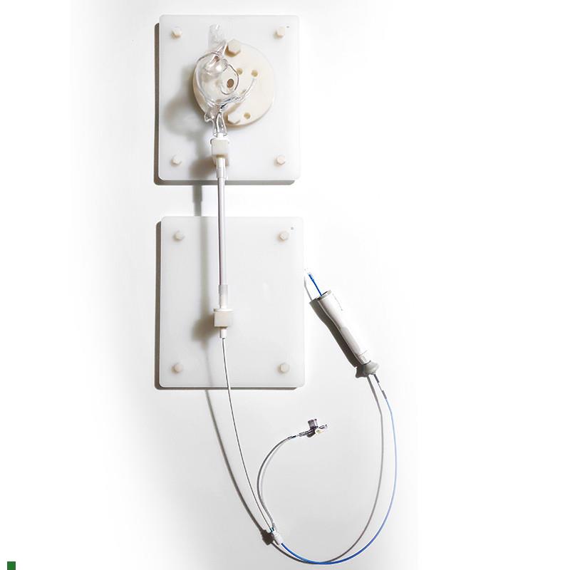 ENOVO颐诺人体右心房介入训练台心血管微创P介入训练模型内窥镜介