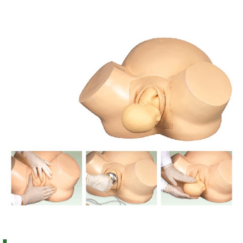 高级分娩助产难产训练模型妇幼高级L训练模型助产练习模具