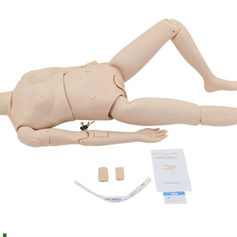 新型多功能护理人模型女性护y理实习操作橡皮人护士导尿插管模型