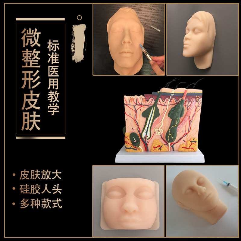 皮肤放大模型f微整形医学解剖教学人头模型美容纹绣纹眉硅胶头模