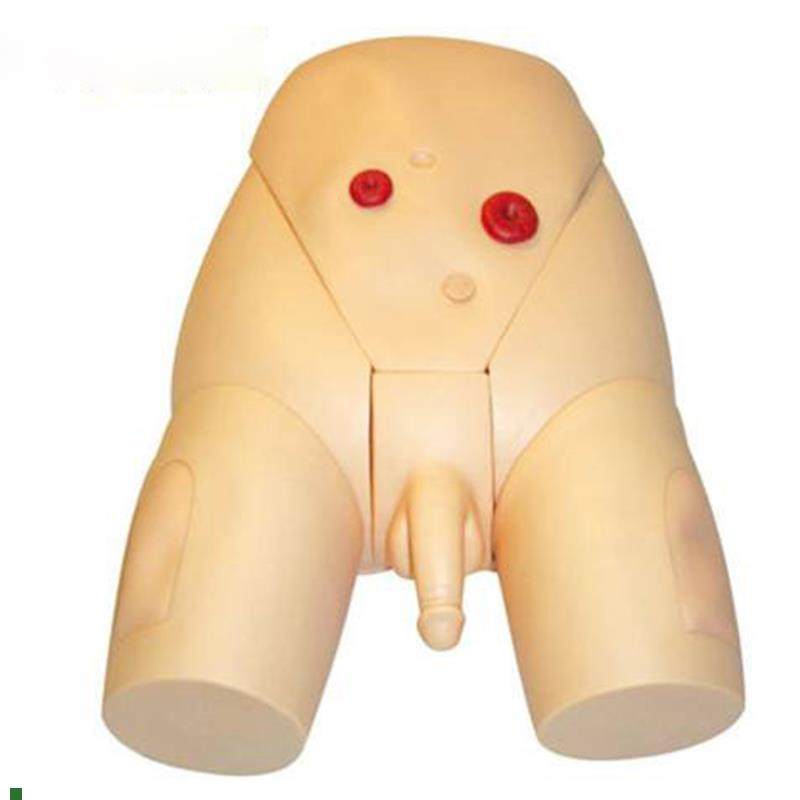 高级男性生殖器导尿模型医学导尿O练习模型训练模具