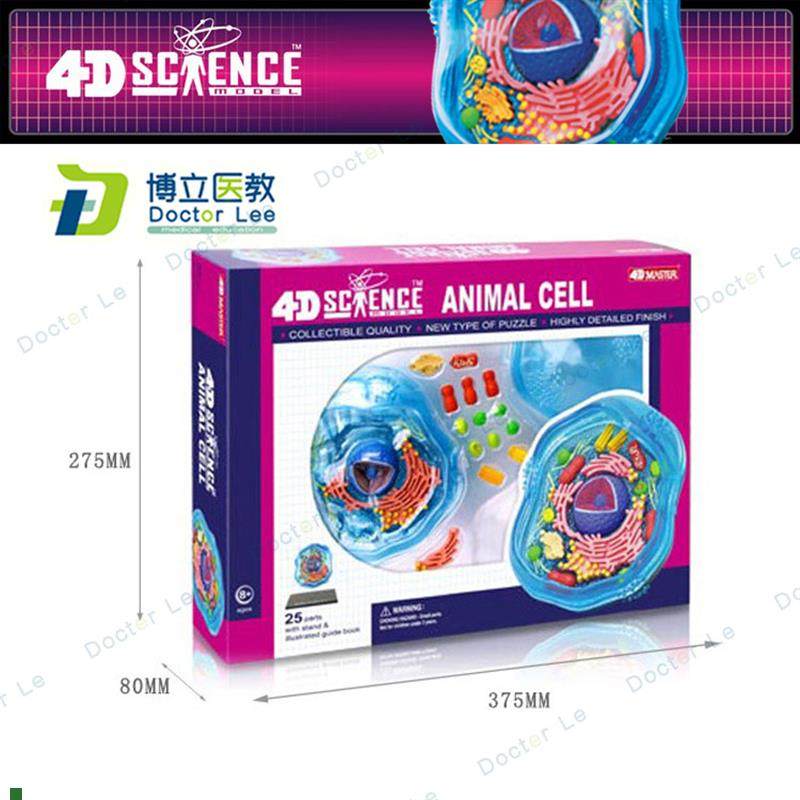 正版4DMASTER拼装模型动物细胞模K型拼装益智玩具教学模型