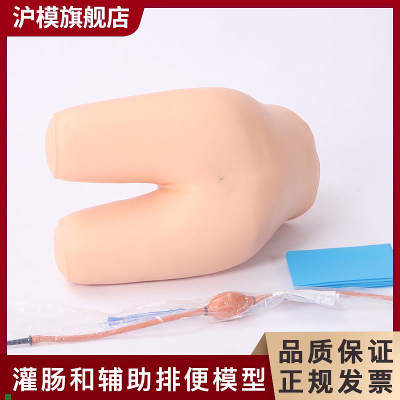 沪模HM/H35灌肠辅助排便训练模型H灌肠练习模具老年排便病人