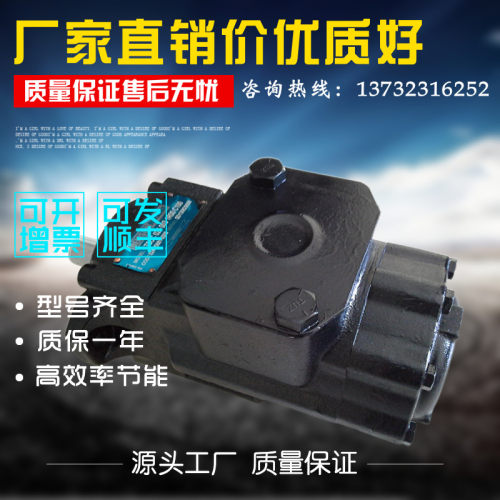 DENISON叶片泵T6DCB382