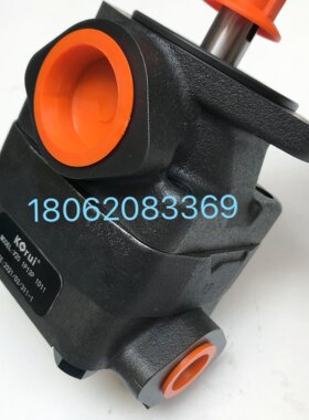 叶片泵V10 1P2P 1D11 V101P3P/4P/5P/6P/7P 1A 1B 1C 1D11