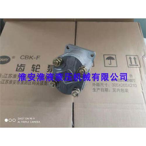 CBN-F(E)3046,125齿轮泵