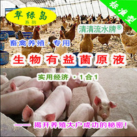 翠绿岛畜禽养殖生物有益菌原液日本产增强畜禽的食欲缩短养殖时间