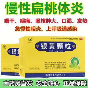老牌银黄颗粒10袋清热解毒风热感冒药咽干急慢性咽炎扁桃体炎咽痛
