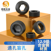 12.9级通孔盲孔油塞丝堵闷头内六角堵头美制英制1 81寸公制10 161
