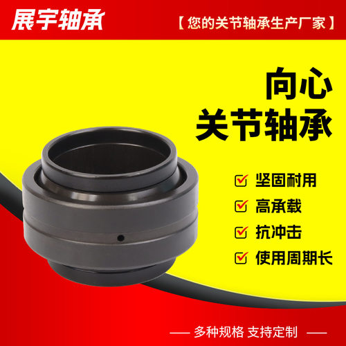 GEEW12 15 16 17 20 25 30 32 35 40 45 50 60 63ES-2RS关节轴承