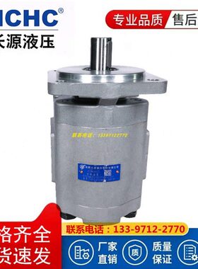 HCHC合肥长源液压齿轮泵CBG2080BFPBFHBFPLBFHL