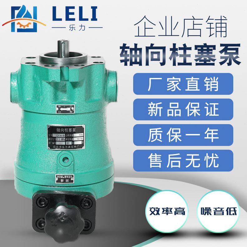 启东乐力牌10SCY141D直插式轴向柱塞泵电机组泵头