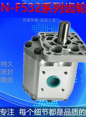CBNF532全新原装 装载机液压齿轮油泵 CBNF550 CBNF563 F580