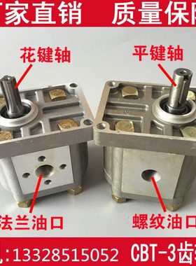质保1年液压站升降台液压齿轮油泵CBNF320 CBNF325 CBTE32025
