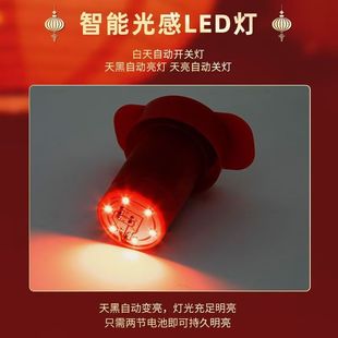 灯笼专用led灯新款春节灯笼七彩旋转红色太阳能感光遥控专用伴侣