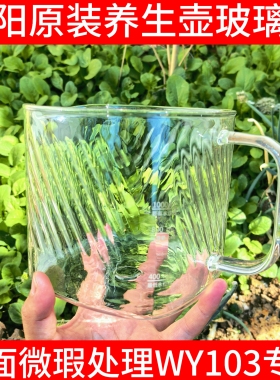 九阳全玻璃养生壶花茶壶煮茶器WY103专用配件烧水壶高硼硅玻璃壶