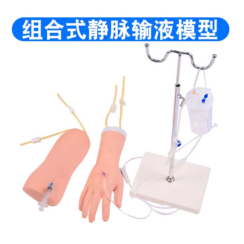 高级手肘部静脉输液训练模型