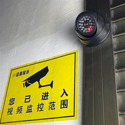 假监控器仿真免打孔仿真摄像头防真摄影头家用门口模型探头带灯闪