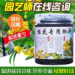 桂花树肥料专用肥桂花专用肥营养液盆栽养护黄叶养护生根养花家用