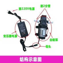 家用自吸泵自来水加压力增压泵全自动静音电泵抽水机净水器管道泵
