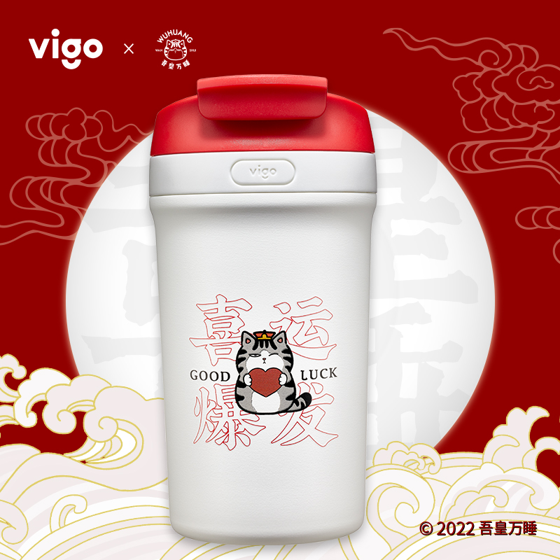 VIGO可爱高颜值304内胆网红