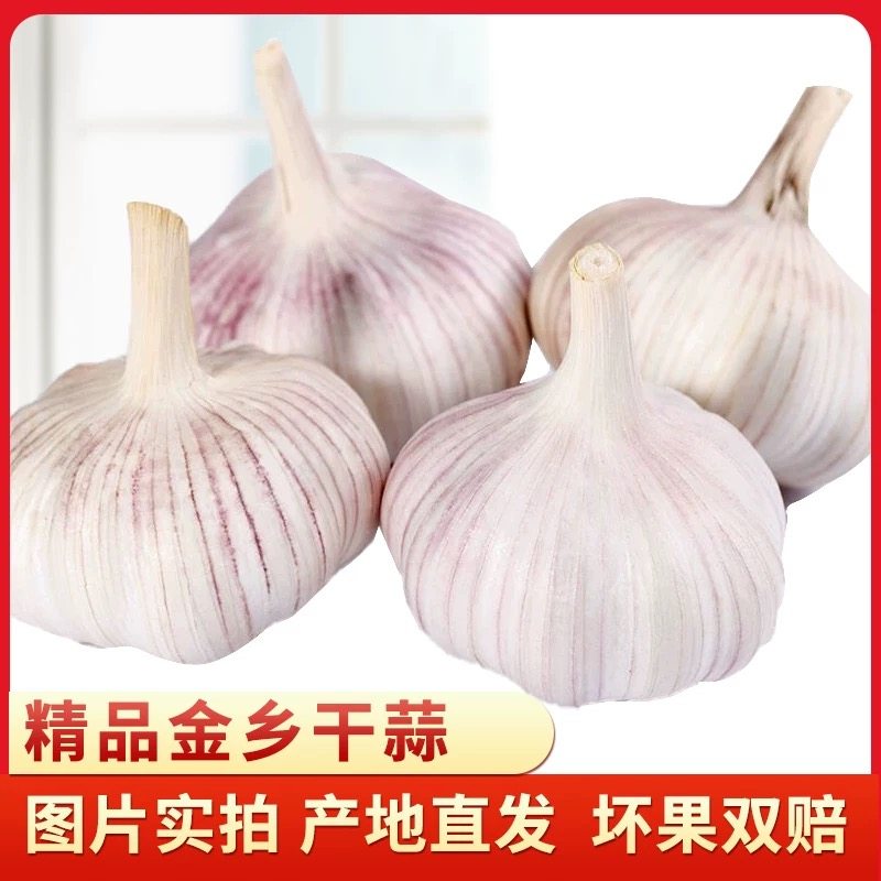 山东大蒜紫皮大蒜头干蒜5斤优质新鲜红皮干蒜头10斤装包邮