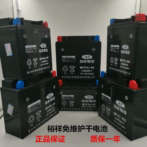 包邮免维护电池台湾裕祥电瓶RS