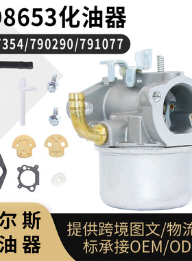 798653化油器 for Briggs & Stratton 697354 790290 791077 carb