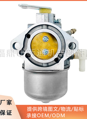 Briggs & Stratton 690119化油器用于694526 192437 192452发动机